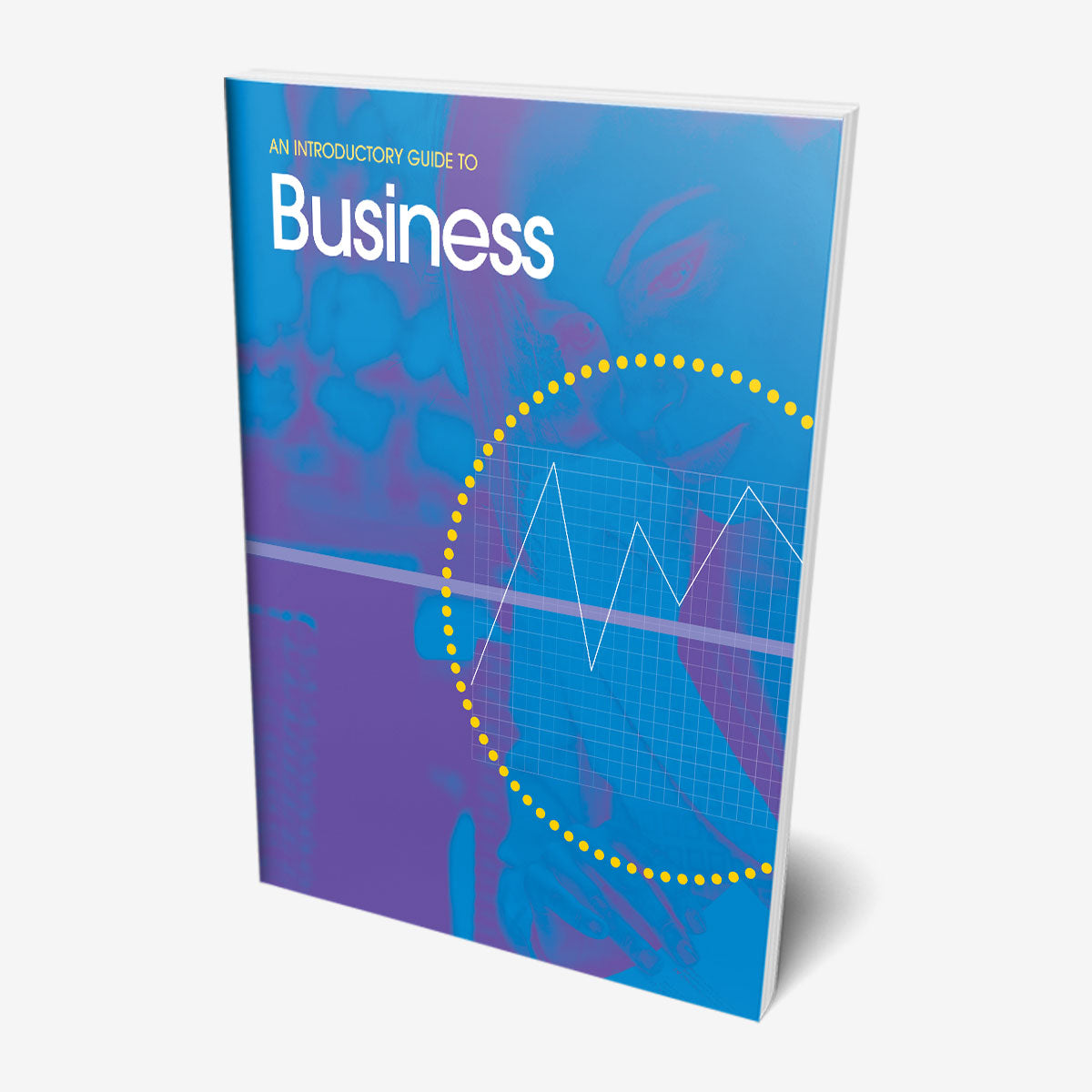 An Introductory Guide to Business